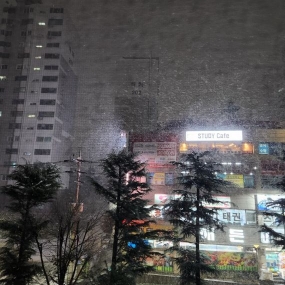 2022년 첫눈이 오네요