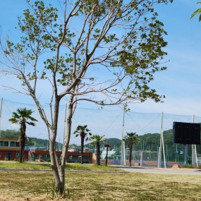 통영 스포츠파크에 건고추 말리러왔다가 한컷