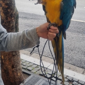 엄청큰 ㅎㅎ