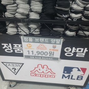 담풍♡