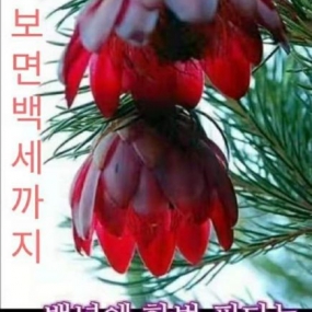 건강하셔서 99세까지 함께해요^^
